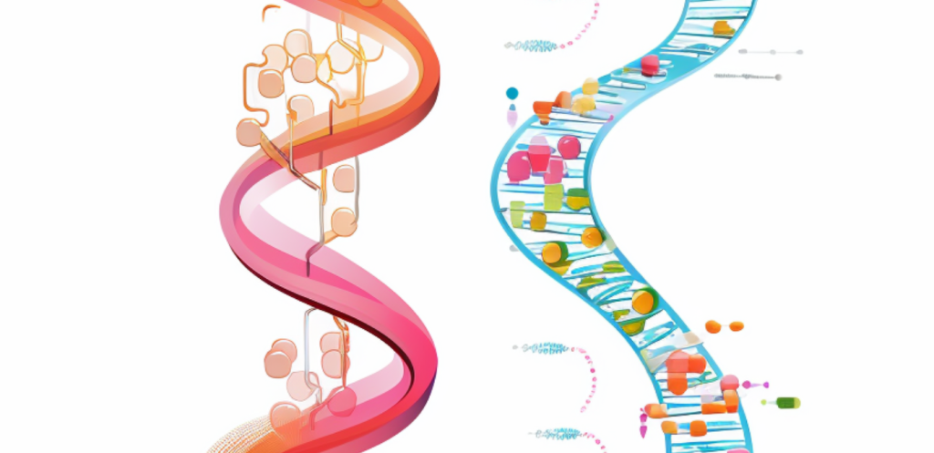 Bộ gen (Genome) - thông tin di truyền